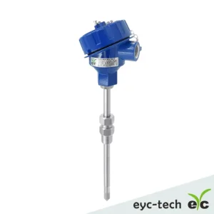 EYC THM14EX: Reliable Explosion-Proof Temp & Humidity Transmitter (Digital Output)