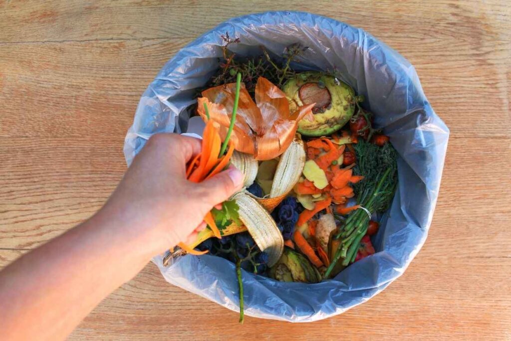 Food Waste